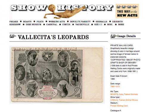 Snapshot of Show History website